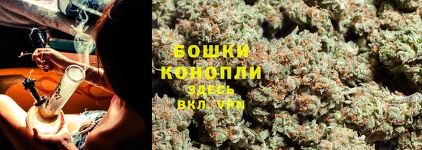 spice Волосово