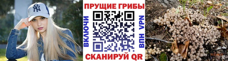 Псилоцибиновые грибы Magic Shrooms  Звенигово 